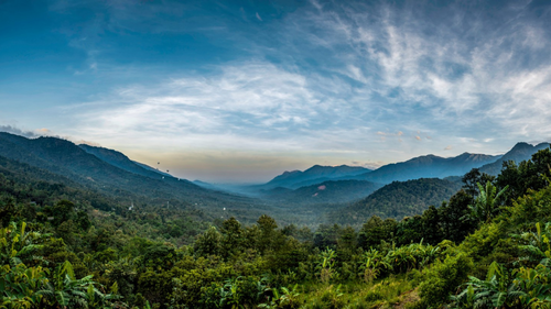 Explore The Wild Countryside With These 10 Places To Visit In Wayanad 
