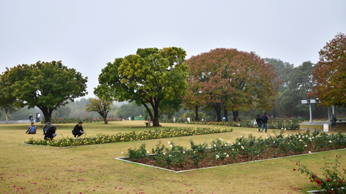 All You Need To Know Before Visiting The Rose Garden In Chandigarh