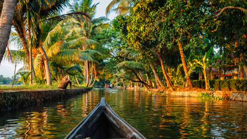 21 Things To Do In Kerala While Touring This Beautiful State