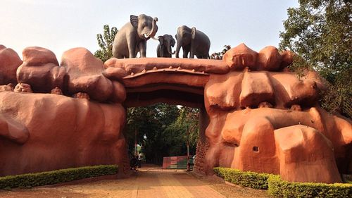 Explore Wildlife After Dark: Bhubaneswar's Chandaka-Dampara Night Safari 