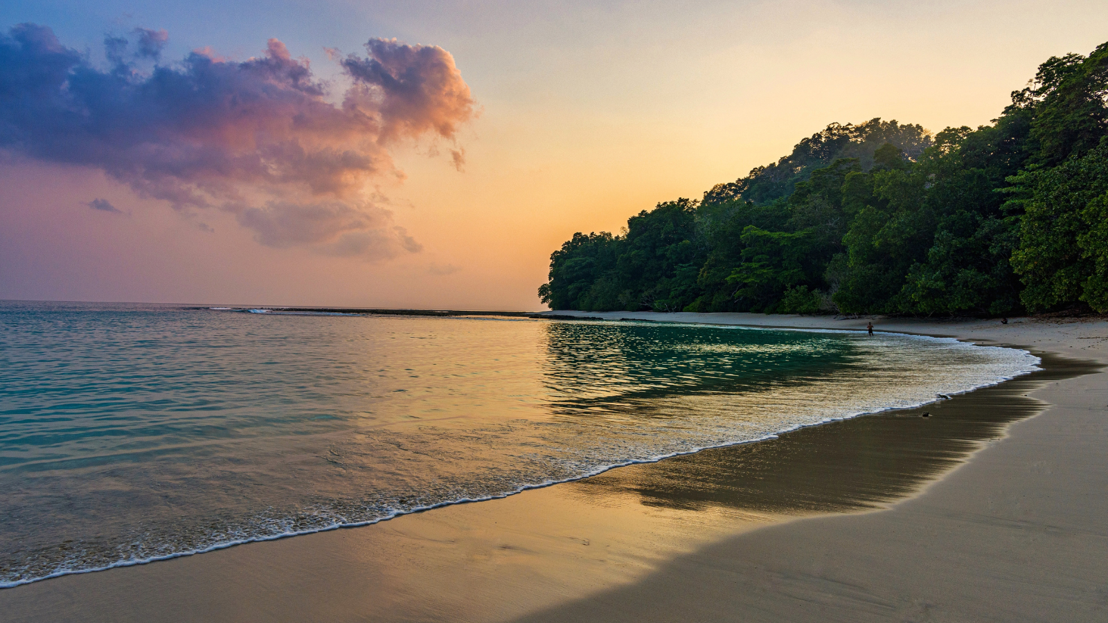 10 Resorts In Andaman And Nicobar Islands To Explore | Zee Zest