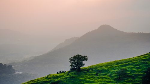 5 Hill Stations Near Mumbai You Must Visit