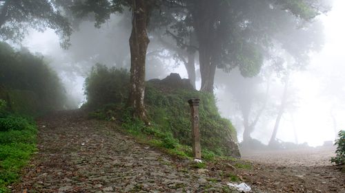 Unheard Haunted Tales Of Dow Hill In Kurseong, Darjeeling