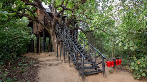 10 Treehouses That Will Make You Feel Like A Child Again