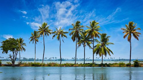 5 Ways To Experience Kerala’s True Culture