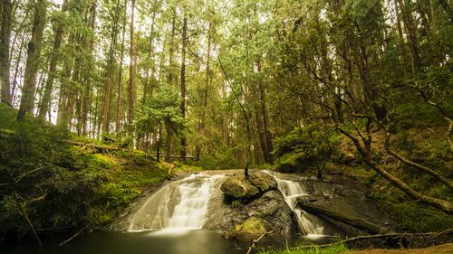 Kodaikanal Minus The Cliches For An Offbeat Travel Adventure