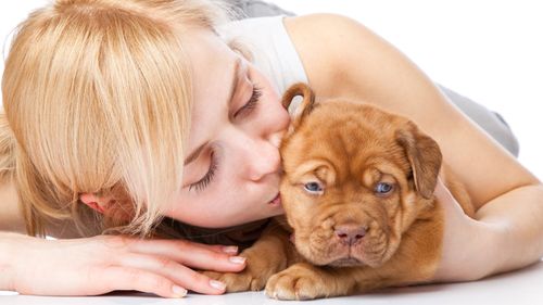 8 Simple Tips to Consider Be A Great Pet Parent