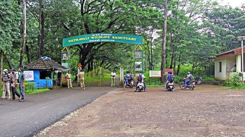 Unveiling Netravali Wildlife Sanctuary: Goa's Rich Biodiversity & Natural Splendor