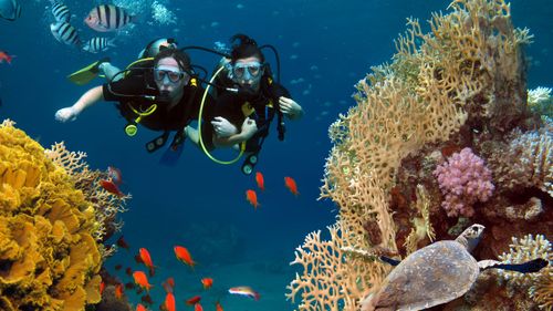 Best Scuba Diving Spots In India For The Adventure Enthusiast In You