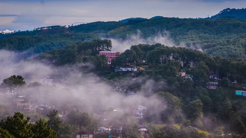 10 Best places to visit in Shillong For The Ultimate Experience