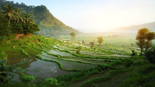 The Perfect 10-Day Bali Itinerary For Honeymooners