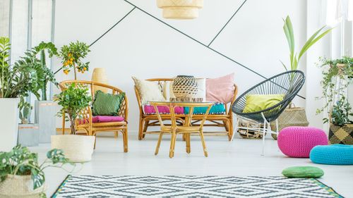 7 Beginner-Friendly Indoor Hanging Plants For Your Home