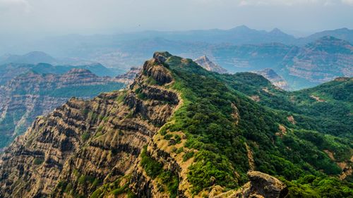 8 Activities In Mahabaleshwar For The Thrill-Seeker In You