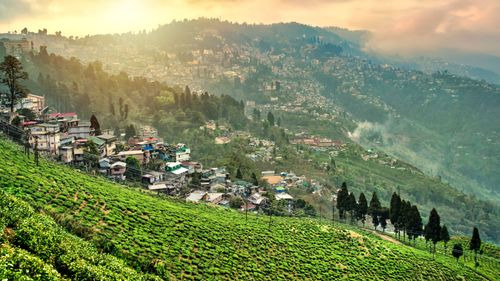 8 Fantastic Things To Do In Darjeeling