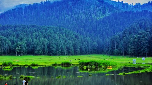 6 Breathtaking Places to Visit in Khajjiar 