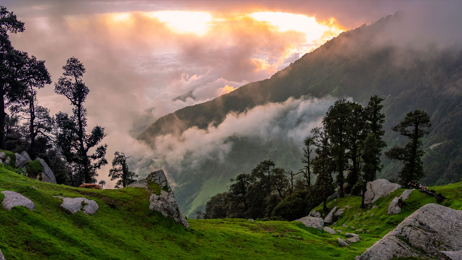 MCLEODGANJ , and , , Near by, dharamshala HD wallpaper | Pxfuel
