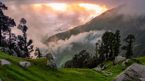 8 Places To Visit Near Dharamshala
