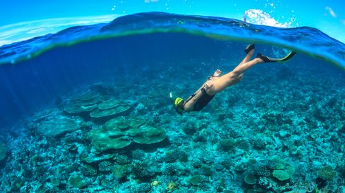 5 Things To Know When You Go Snorkelling For The First Time