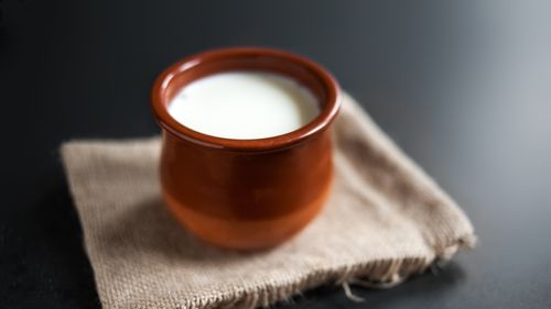 How To Set The Perfect Batch Of Curd This Winter