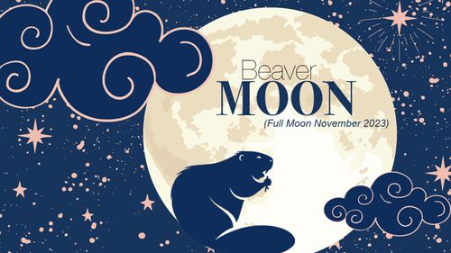 Full Beaver Moon: Predications For Each Zodiac Sign 