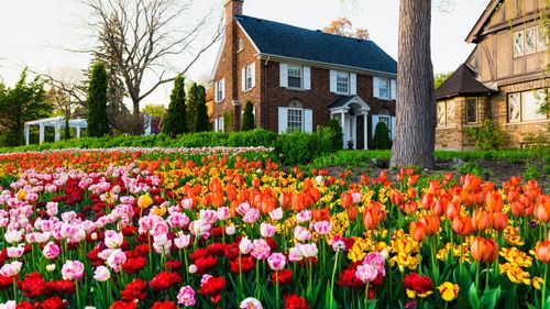Bloom Into Spring: Your Guide To The 2025 Canadian Tulip Festival In Ottawa