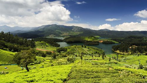Best Resorts In Coonoor To Plan A Dreamy Getaway