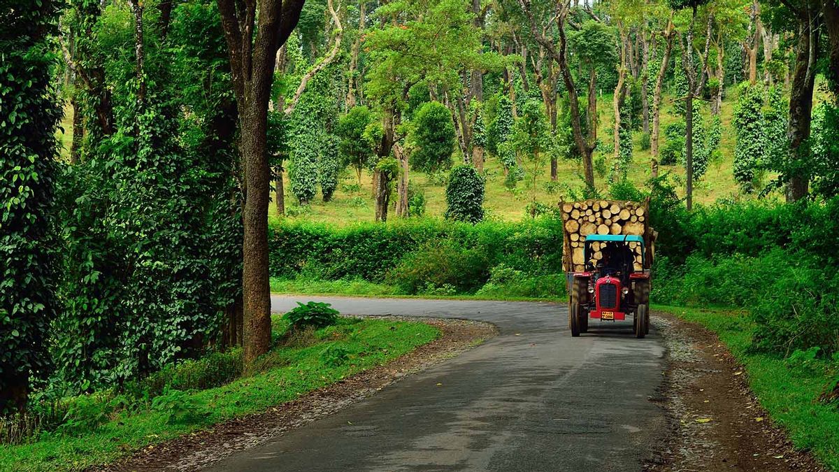 7 Dreamy Road Trips Across India You Must Experience