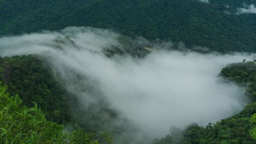 Where the Skies Never Dry: Exploring The World’s Wettest Places