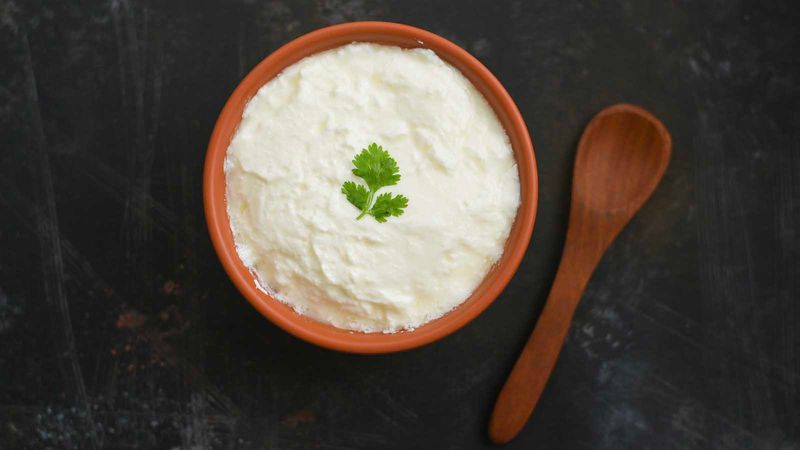 Here’s Why Curd Is The Real Star of Indian Kitchens 