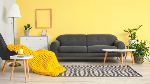 Decor Enthusiasts, These Are The Best Living Room Colours For 2025