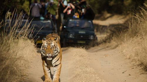7 Wildlife Sanctuaries Near Delhi To Plan Your Next Safari