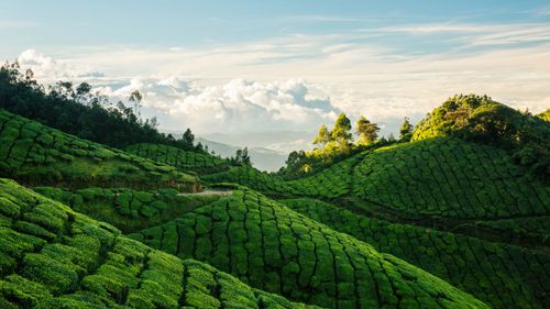 Monsoon Magic: Best Hill Stations To Visit During The Rains 