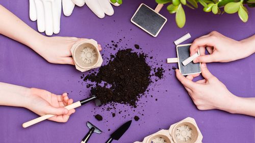 Grow-It-Yourself Kits To Bring The Green Revolution Into Your Home 