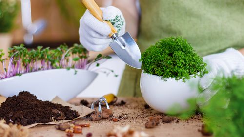 7 Common Tips For A Flourishing Home Garden 