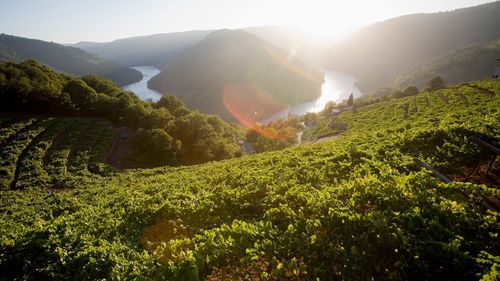 Soaking In Galicia, Spain's Most Underrated Wine Region