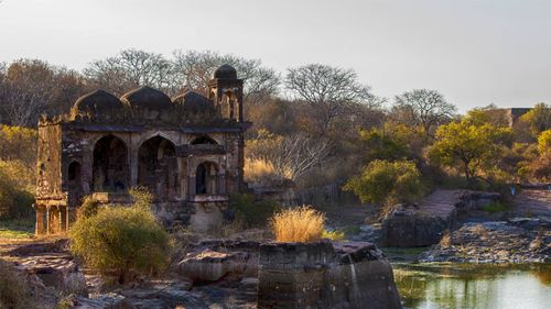 Ranthambore, Beyond The Big Cats 