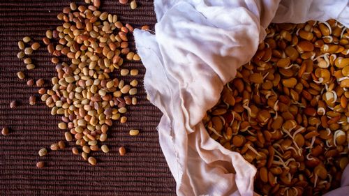 Horse Gram: This Poor Man's Superfood Is A Powerhouse of Nutrients    