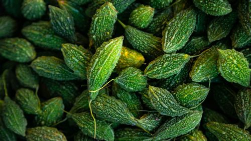 Why Bitter Gourd Deserves To Be A Part Of Your Meal Repertoire