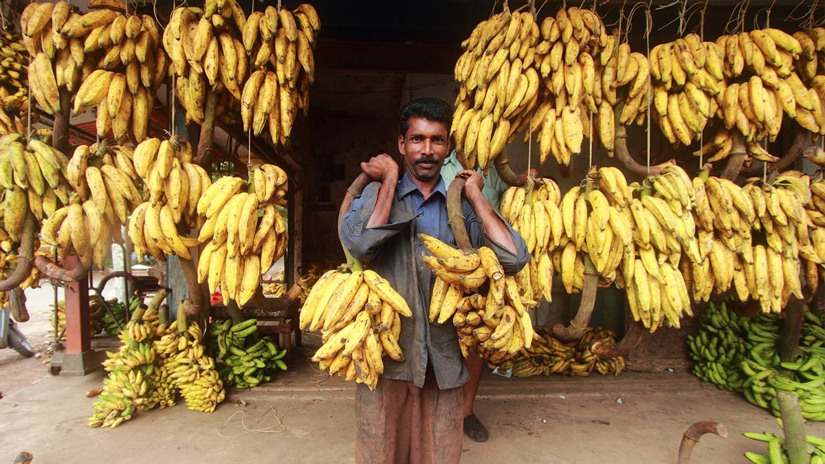 Banana: Beauty's best friend - Times of India