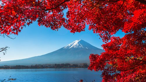 Top Tourist Attractions In Japan To Add To Your Itinerary