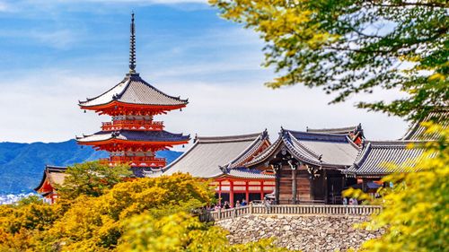 Best Things To Do In Japan For An Unforgettable Trip
