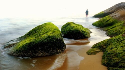 6 Best Beaches In Karwar That Glow Naturally 