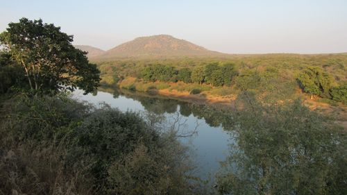  A Brief Guide To Kuno National Park In Madhya Pradesh