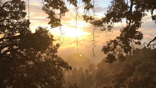 Landour: The Only Itinerary You’ll Ever Need