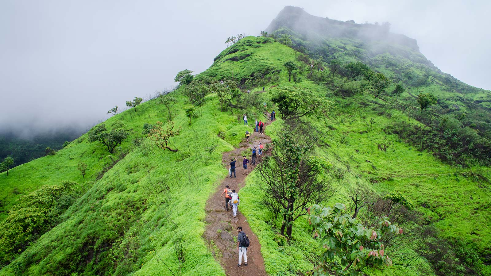 11 Best Monsoon Treks In India And What To Expect | Zee Zest