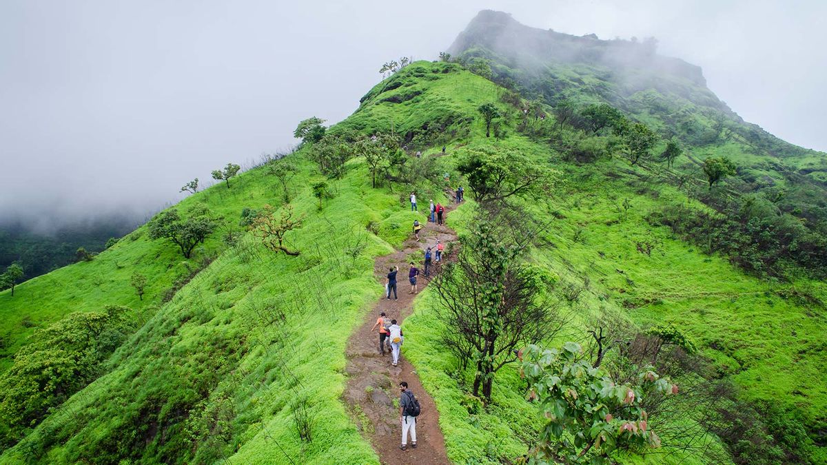 11 Best Monsoon Treks In India And What To Expect Zee Zest