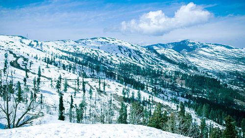 In Search Of Snow, From Mumbai To Patnitop