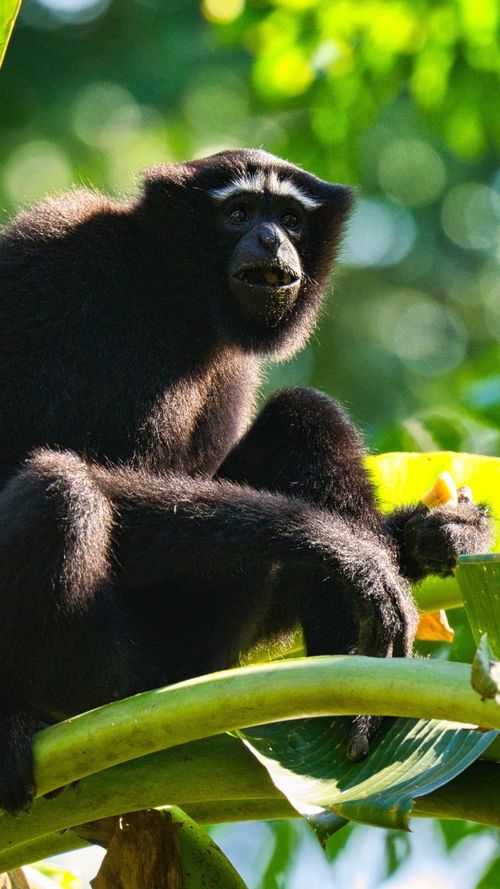 Into The Wild: Exploring Murlen National Park & Mizoram’s Untamed Beauty