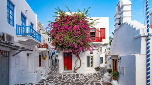 Sun, Sea, And Serendipity: Explore Mykonos Island, Greece