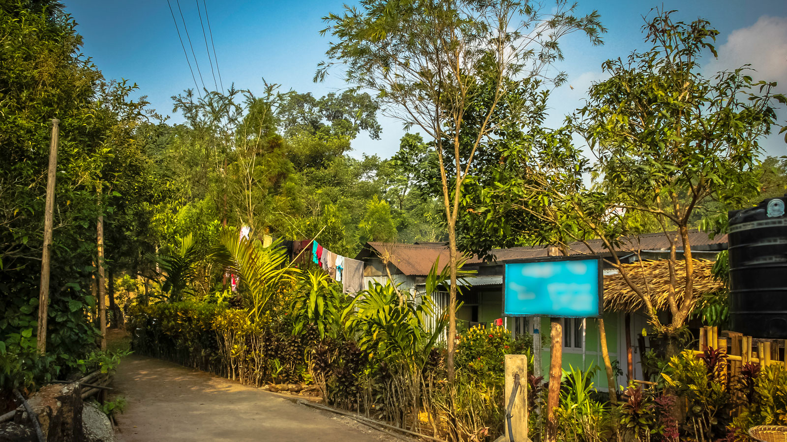 Asias Cleanest Village In India Visited By People From All Over The World